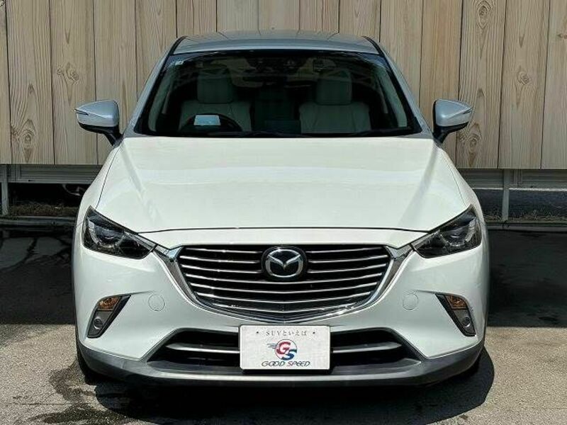 CX-3-16