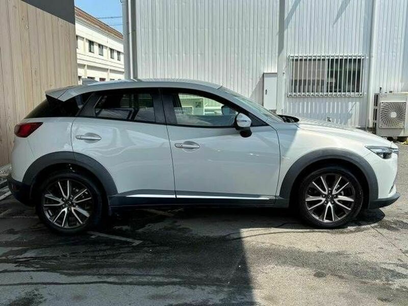 CX-3-18