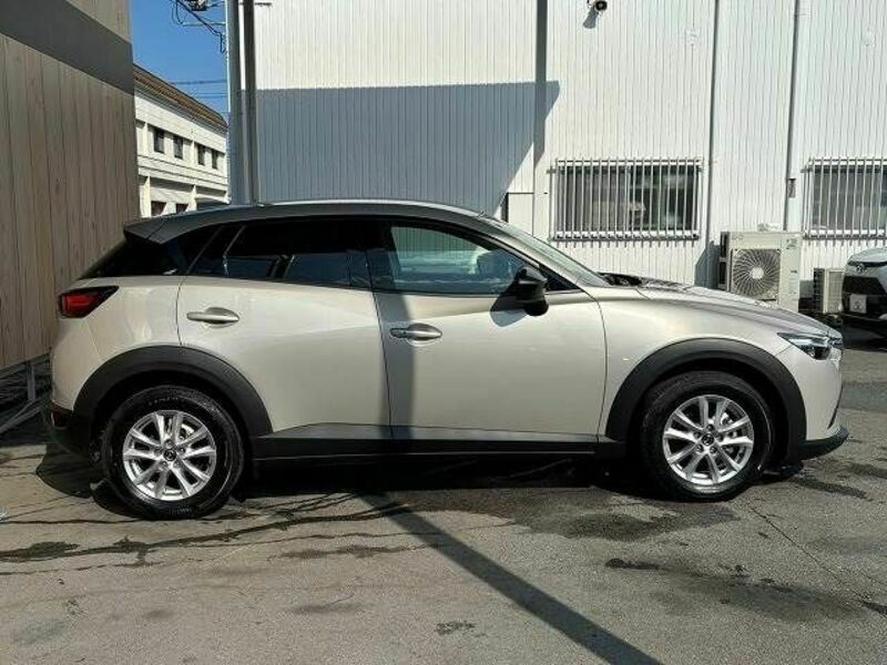 CX-3-17