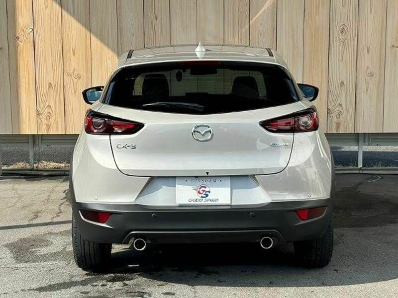 CX-3-18