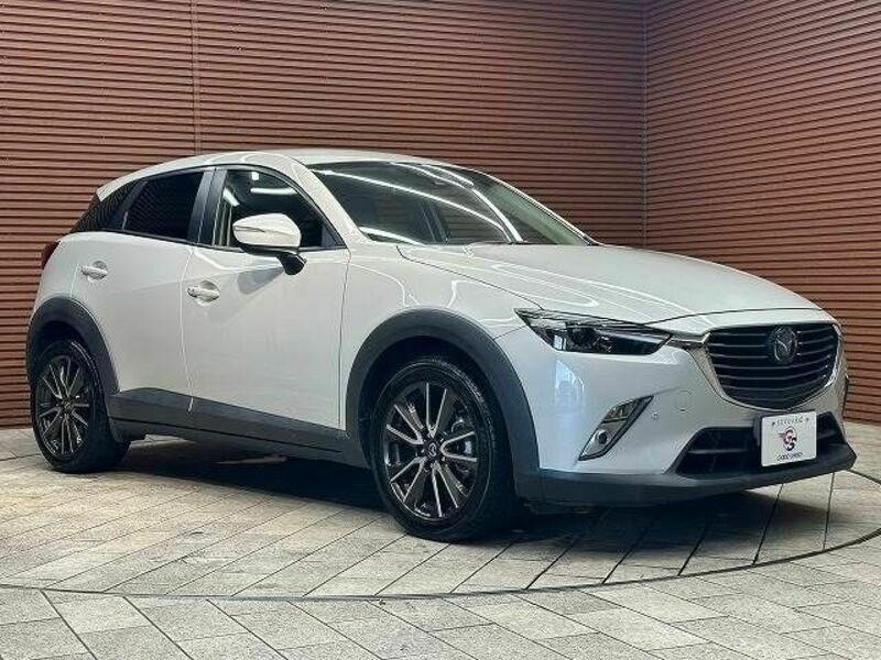 CX-3-13