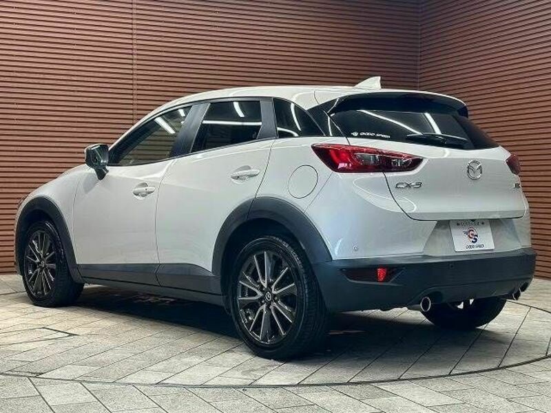 CX-3-15