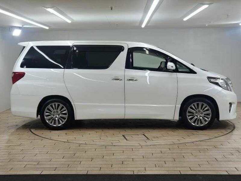 ALPHARD-13