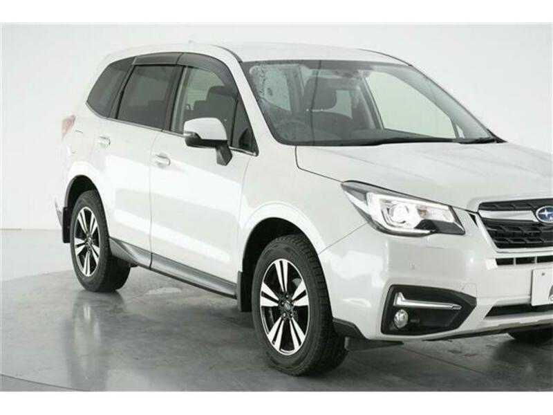 FORESTER-4