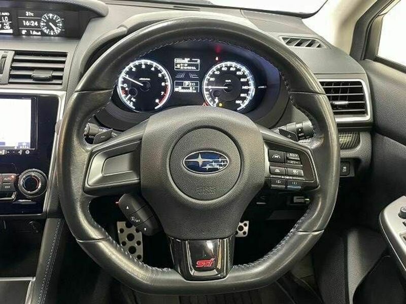 LEVORG-13