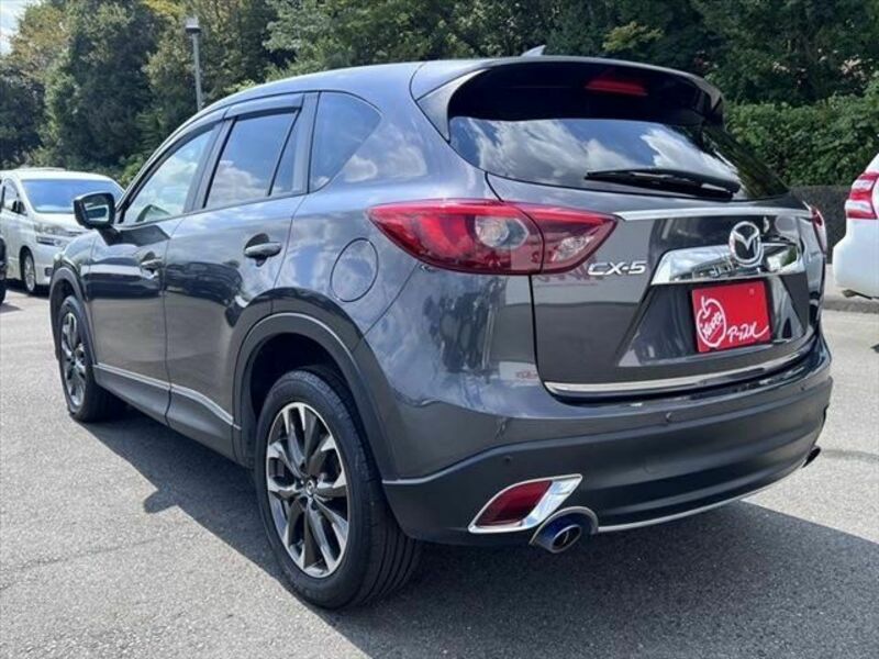 CX-5-17