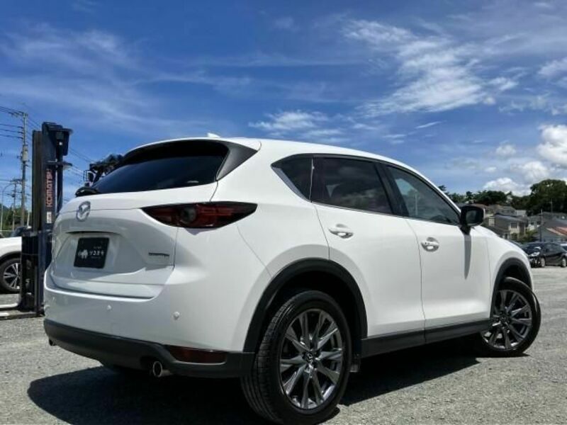 CX-5-3