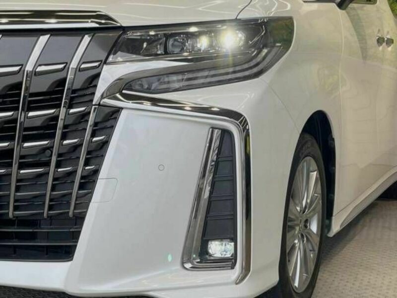 ALPHARD-13