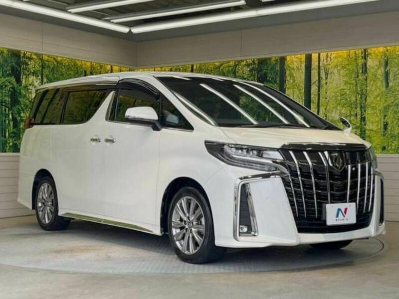 ALPHARD-17