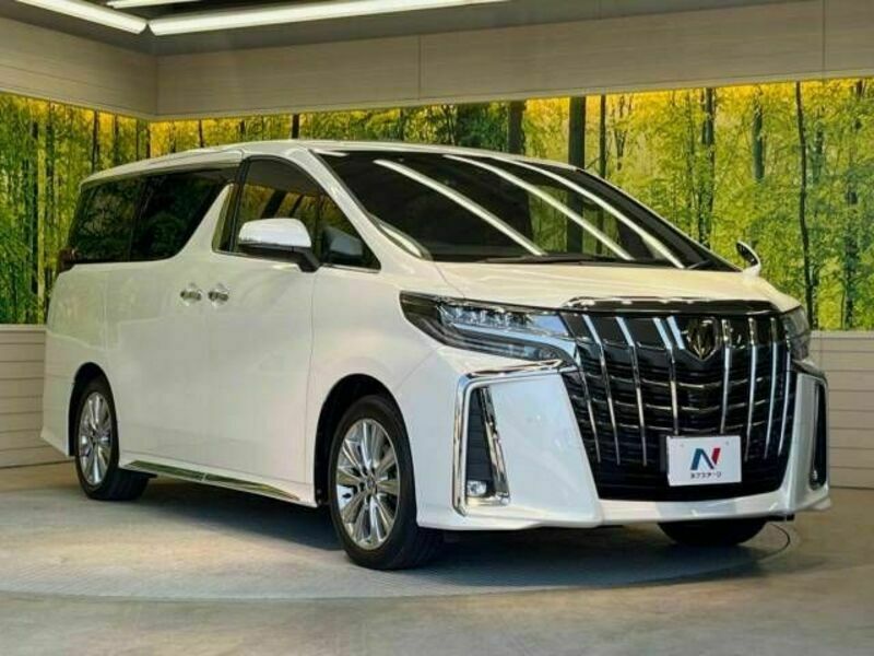 ALPHARD-17