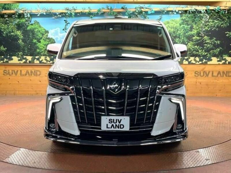 ALPHARD-10