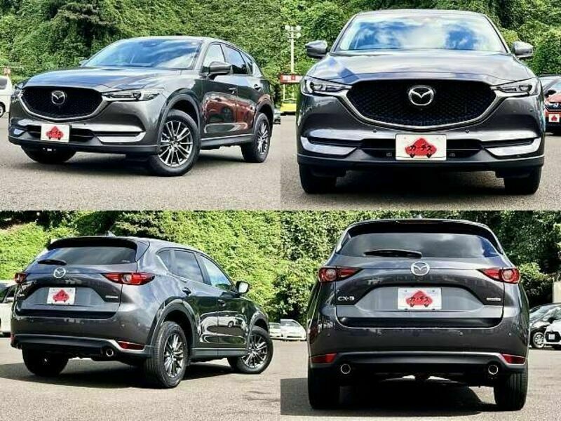 CX-5-8