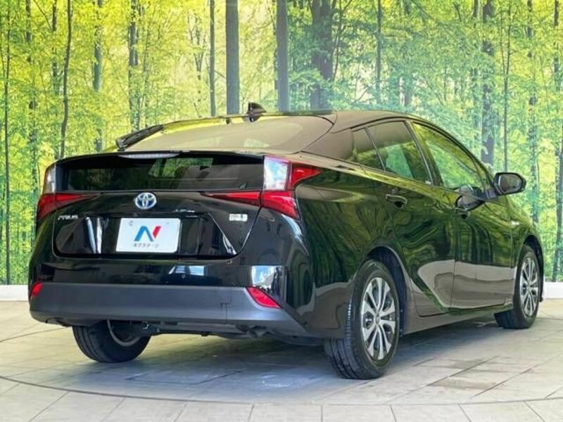 PRIUS-17