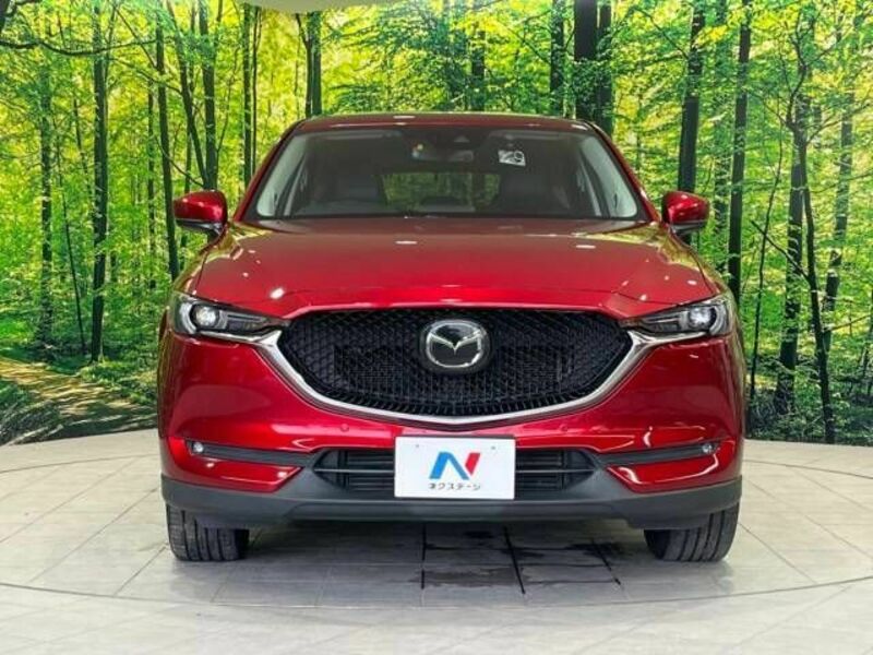 CX-5-14