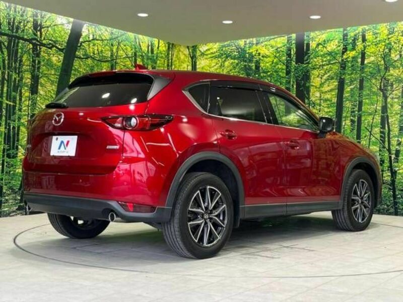 CX-5-17