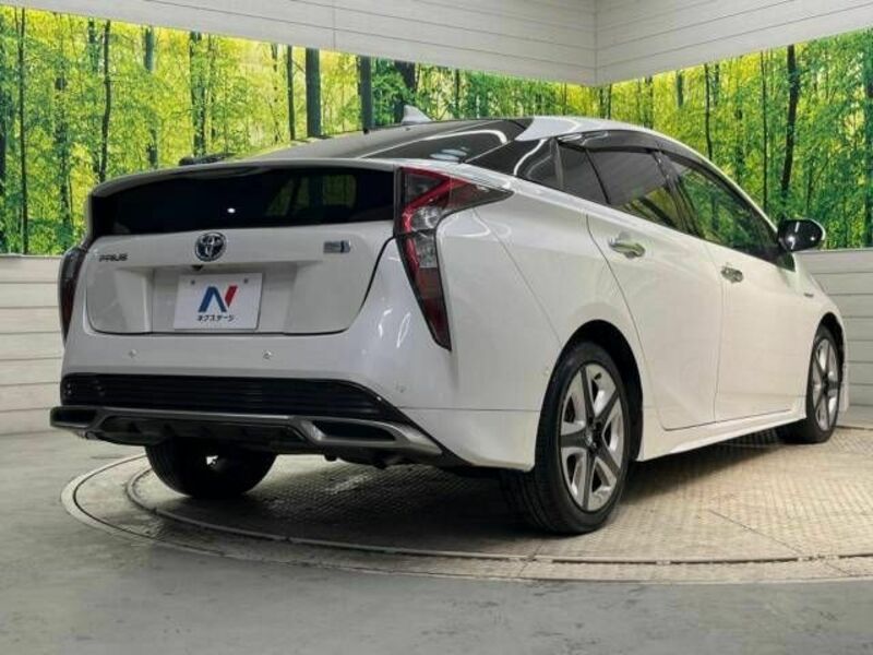 PRIUS-17