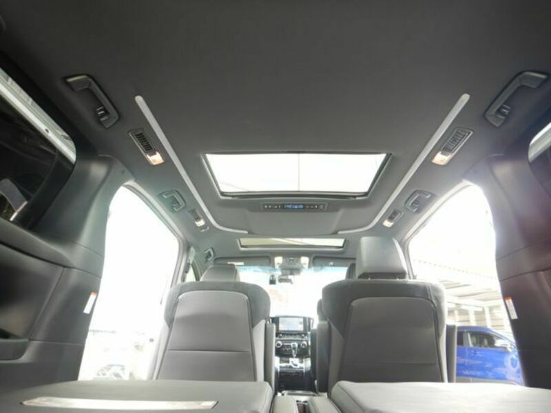 ALPHARD-22