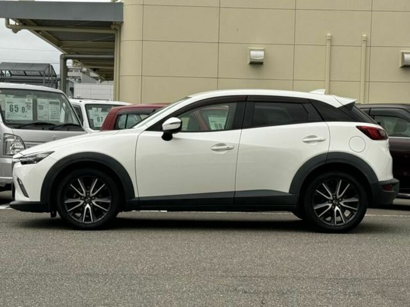 CX-3-8