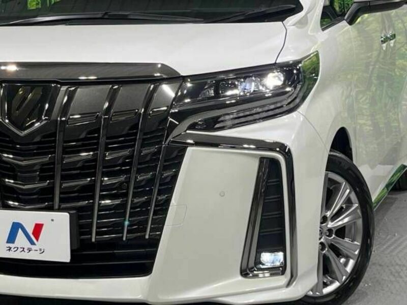 ALPHARD-13