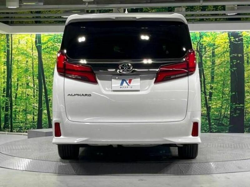 ALPHARD-16