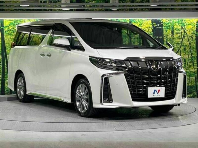 ALPHARD-17