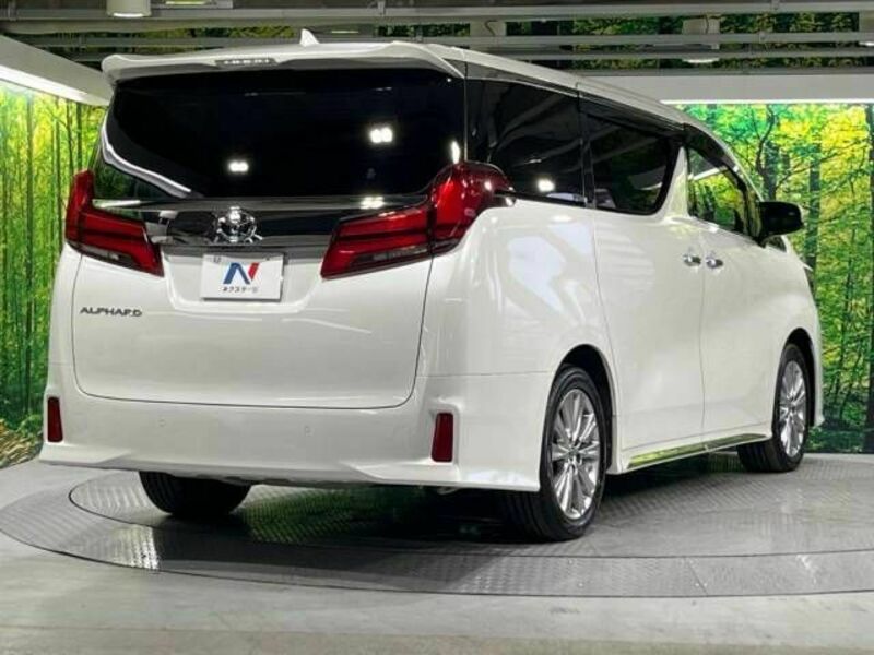 ALPHARD-18