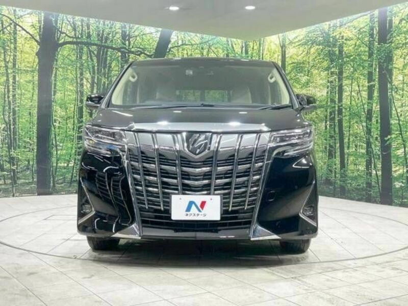 ALPHARD-15