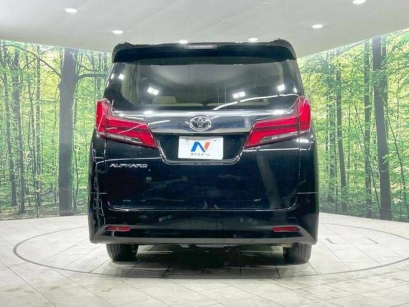 ALPHARD-16