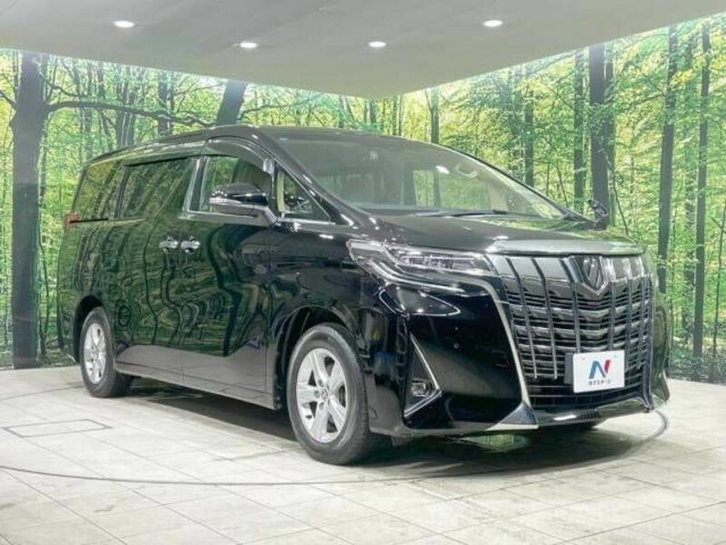 ALPHARD-17