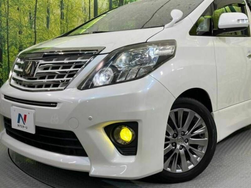 ALPHARD-13