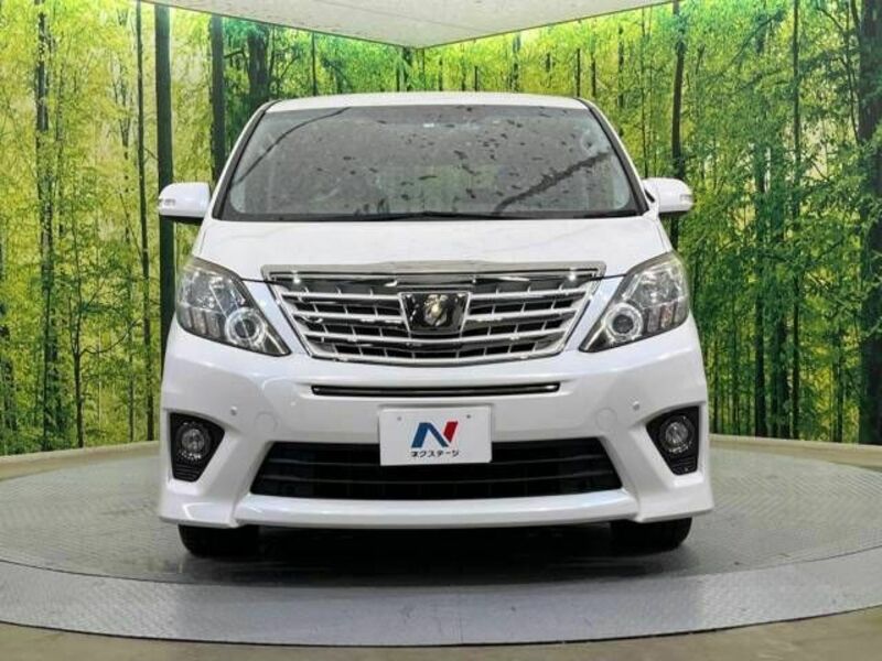 ALPHARD-15