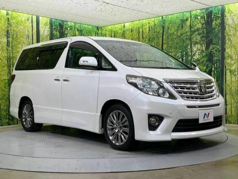 ALPHARD-17