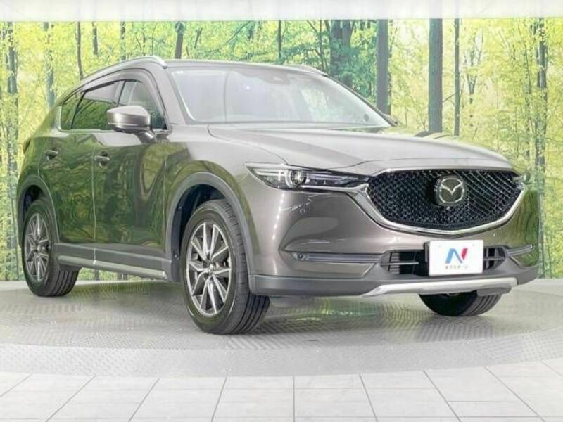 CX-5-16