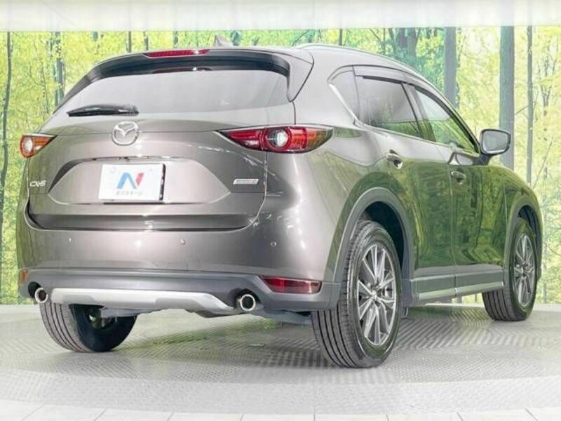 CX-5-17