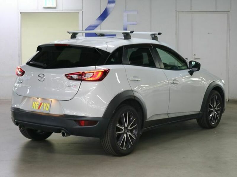 CX-3-1