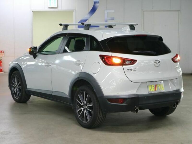 CX-3-6