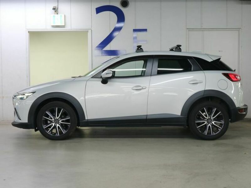 CX-3-8