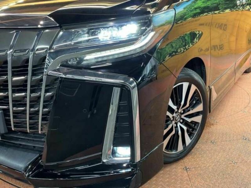 ALPHARD-15