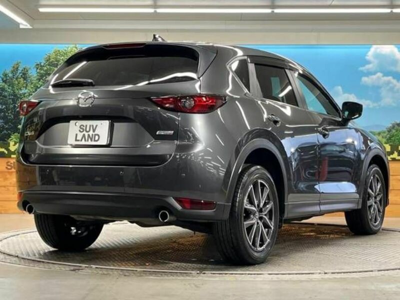 CX-5-17