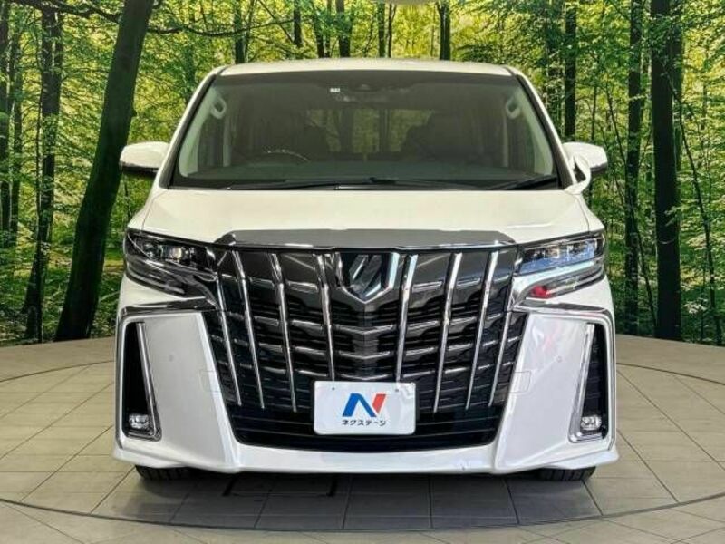 ALPHARD-14