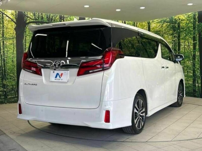 ALPHARD-17