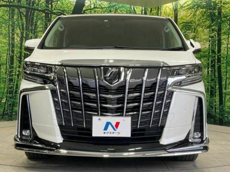 ALPHARD-15