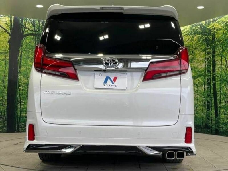 ALPHARD-16