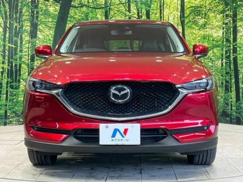 CX-5-14