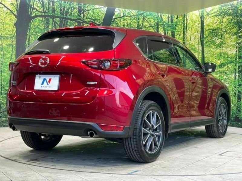 CX-5-17