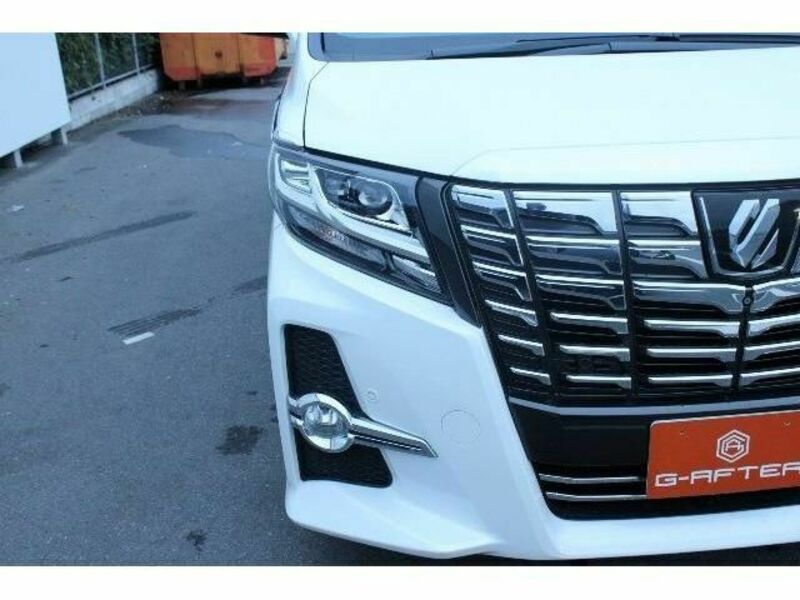 ALPHARD-3