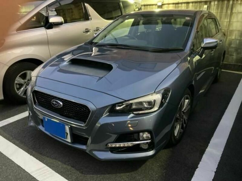 LEVORG-0