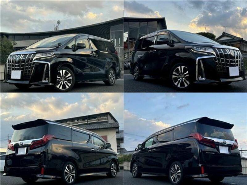 ALPHARD-1