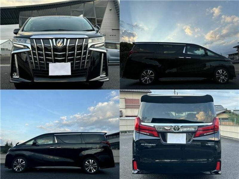 ALPHARD-2