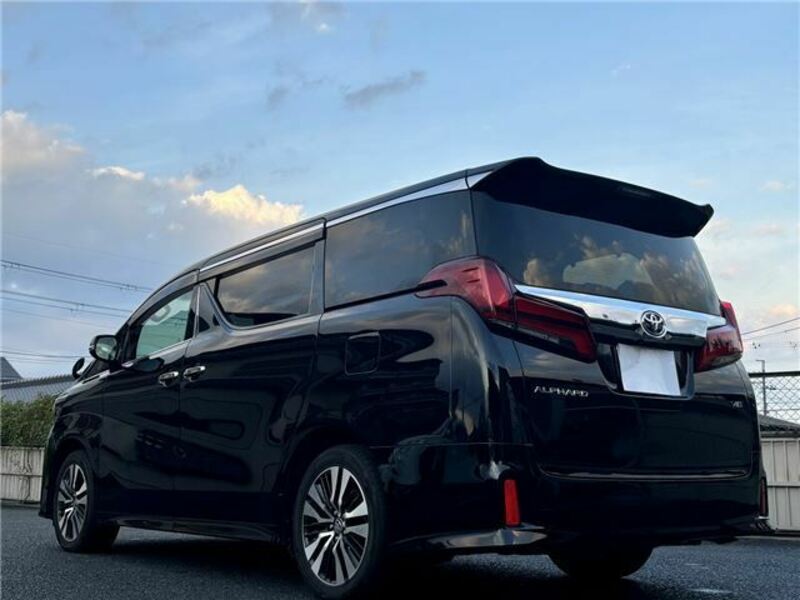 ALPHARD-11